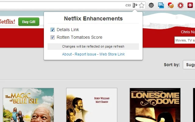 Las Mejores Extensiones De Chrome Para Exprimir Netflix Como Los Expertos 1323