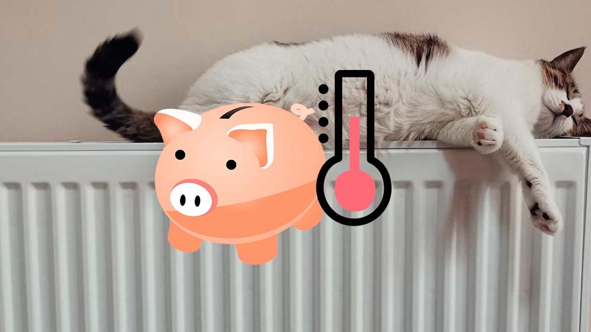 El radiador eléctrico es idóneo para combatir el frío - Todo Competencia