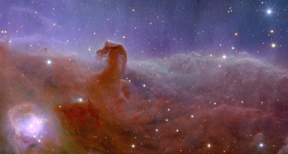 Foto del Euclid de la Nebulosa Cabeza de Caballo